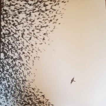 Wilco - Sky Blue Sky