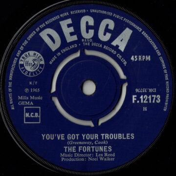 The Fortunes - You've Got Your Troubles