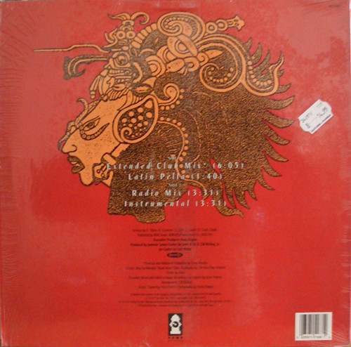 Lighter Shade Of Brown - Latin Active
