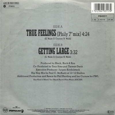 Black Rock & Ron - True Feelings