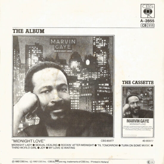 Marvin Gaye - Sexual Healing