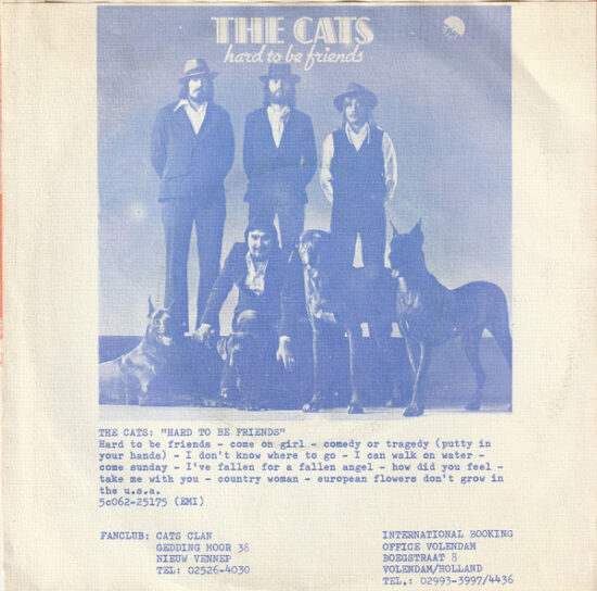 The Cats - Like A Spanish Song