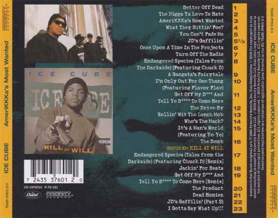 Ice Cube - AmeriKKKa's Most Wanted