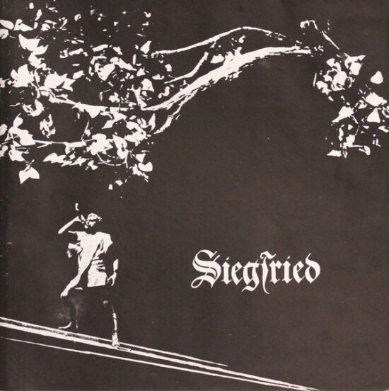 Richard Wagner - Siegfried