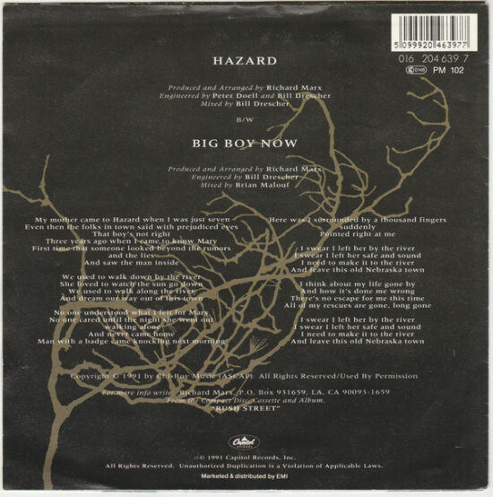 Richard Marx - Hazard