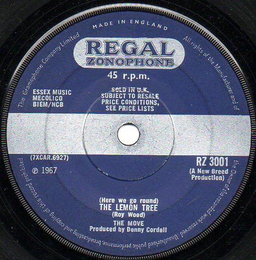 The Move - Flowers In The Rain