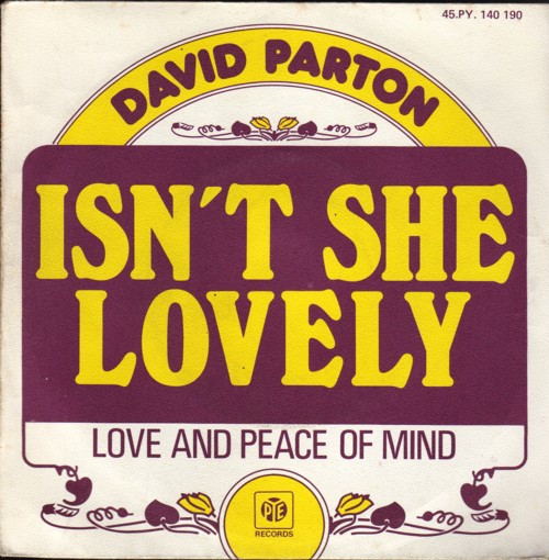 David Parton - Isn't She Lovely