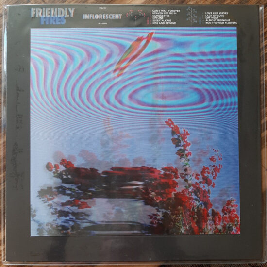 Friendly Fires - Inflorescent