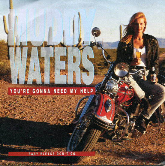 Muddy Waters - You're Gonna Need My Help