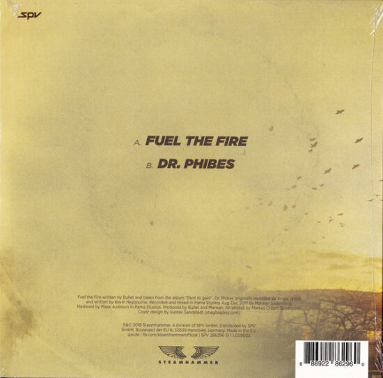 Bullet (10) - Fuel The Fire