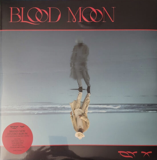 RY X - Blood Moon