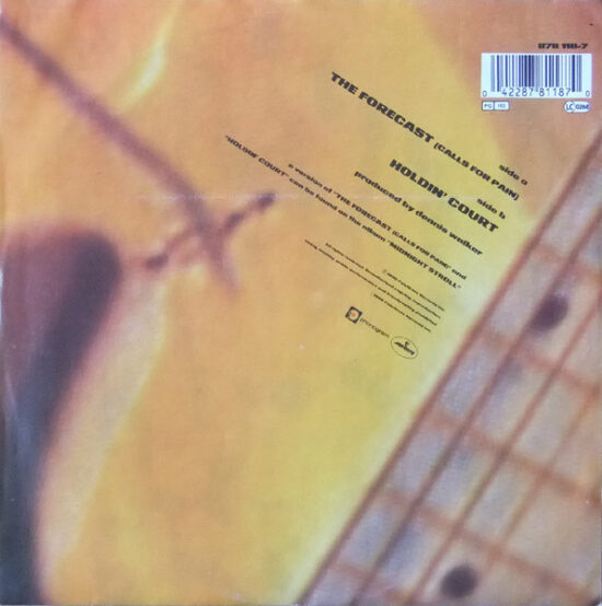Robert Cray - The Forecast (Calls For Pain)