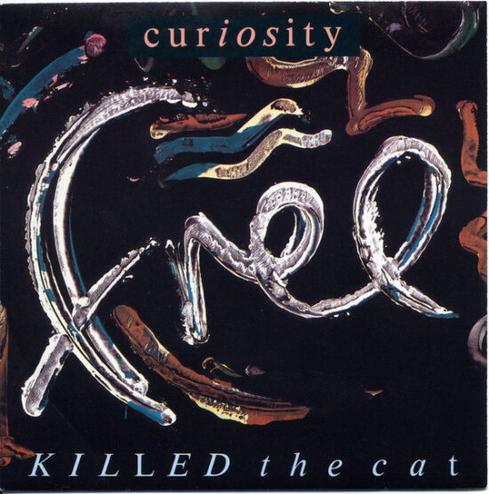 Curiosity Killed The Cat - Free