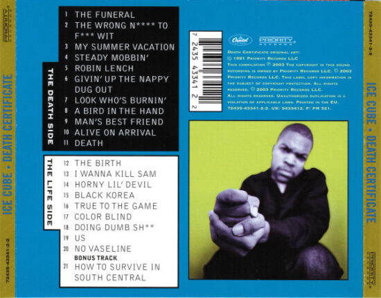 Ice Cube - Death Certificate